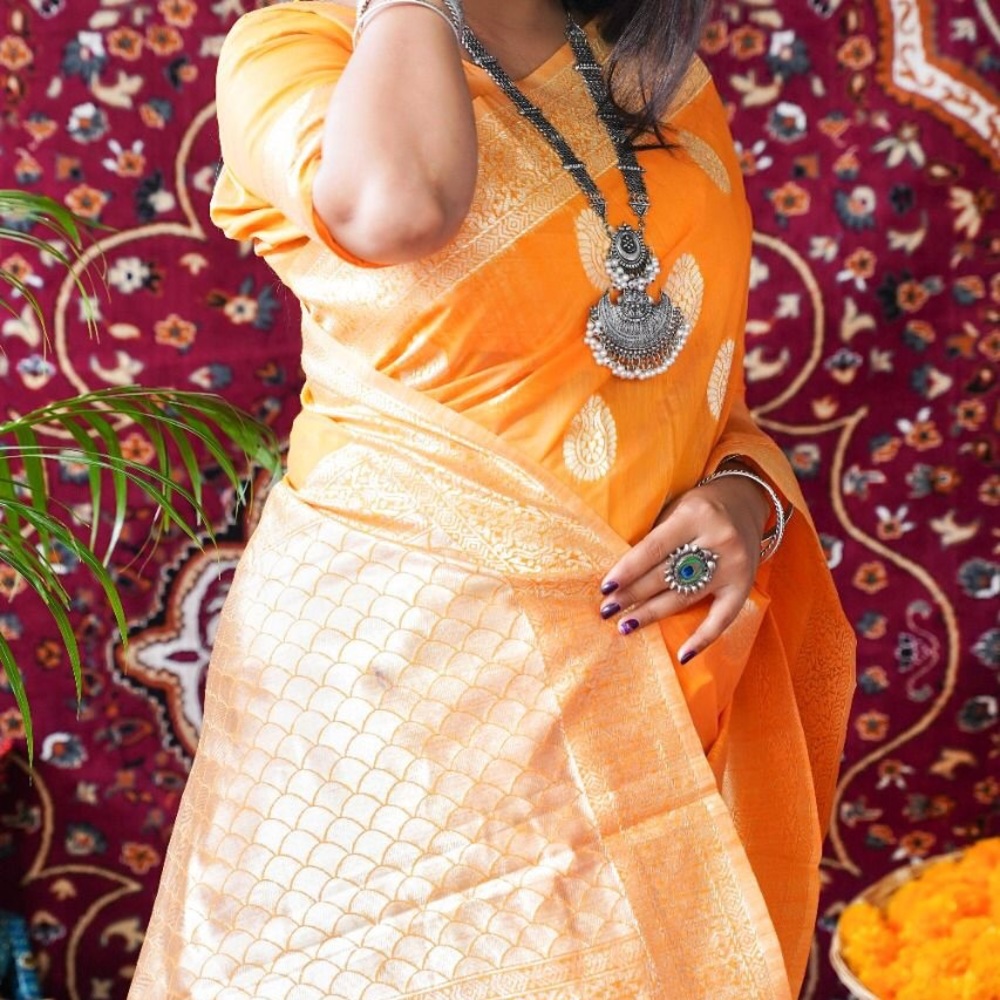 Indian party wear saree